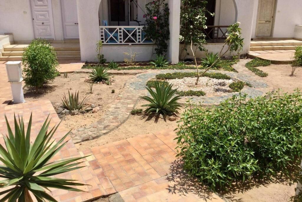 Апартаменти Beyt Alzohour - Casa Dei Fiori Дахаб Екстер'єр фото